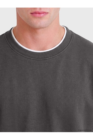 Lcw Vision Gri Bisiklet Yaka Erkek Kalın Sweatshirt