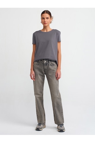 Dilvin Bisiklet Yaka Basic T-shirt-füme Füme