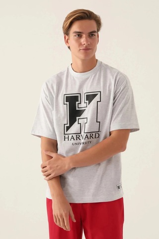Harvard Erkek Tek Üst - Kar Melanj Kar Melanj