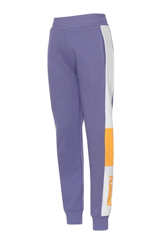Hummel Rıo Çocuk Eşofman Altı 932242-9963 Mor