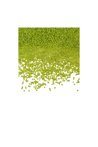 Kristal Limon 11/0 2 Mm Kum Boncuğu 100 Gr