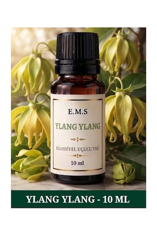 Ylang Ylang Esansiyel Uçucu Yağ Buhurdanlık Yağı Difüzör Esansı Oda Kokusu Esansı Mum Esansı 10 Ml. Ylang Ylang Esansiyel Uçucu Yağ Buhurdanlık Yağı Difüzör Esansı Oda Kokusu Esansı Mum Esansı 10 Ml.