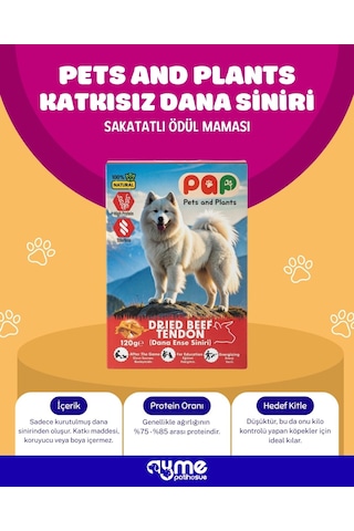 Pets And Plants Pap Dana Ense Sinir Sakat Et 120 G