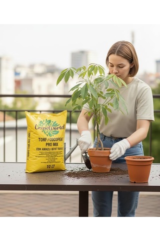 Green World 10 Litre Ithal Çok Amaçlı Bitki Toprağı Torf Cocopeat Ponza Taşı - Kokopit Özel Karışım Saksı Ha 0,250