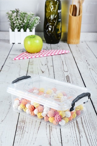 Klips Saklama Kabı-şeffaf