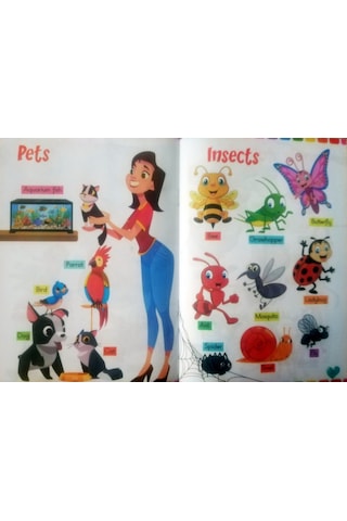 Okul Öncesi Ingilizce ve Çizgi Çalışmaları Eğitim Seti 10 Kitap