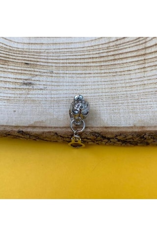 Tekli Kurukafa Skull Küpe Metal Küpe PYTKKUPE139 Çok Renkli