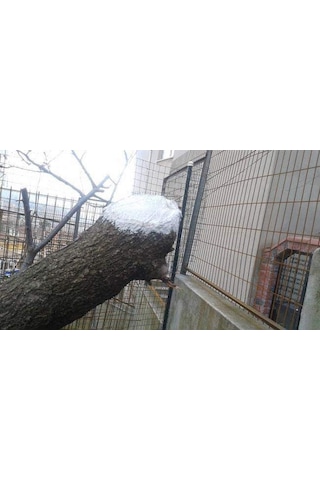 Gmt Pro-jell Aşı Ve Budama Macunu 100 Gr 2 Adet