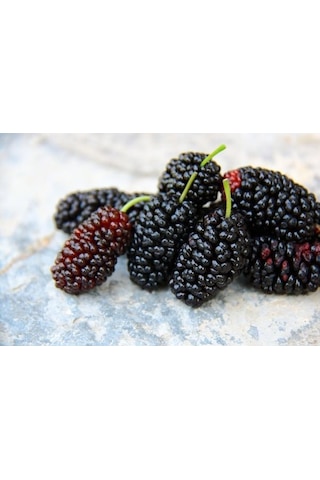 Çukurovalı Doğal Karadut Suyu 5 L