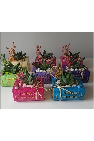 Kitap Saksı Küçük Boy