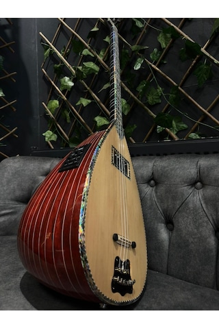 Ankara Elektro Bağlama Çift Kapak Ekolayzırlı Soft Case Dahil