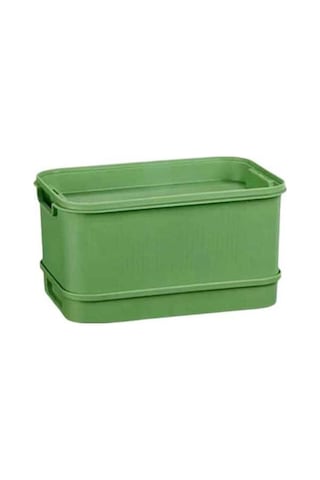 Pazly Tohum Tepesi Suntek Mutfak Maş İçin Filiz Fasulyesi Geniş Fi