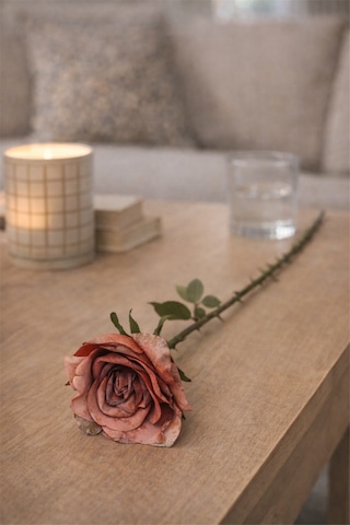 Blush Rose Yapay Gül Çok Renkli