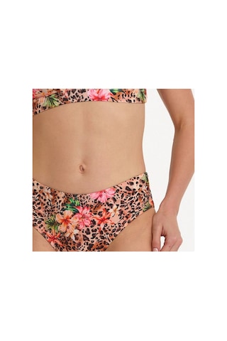 Argento Kadın Fiyong Detaylı Pembe Leopar Balensiz Çıkarılabilir İnce Kaplı Slip Bikini Takımı Pembe Leopar