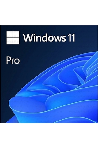 Ms Wındows 11 Pro 64Bıt Eng Oem Fqc-10528