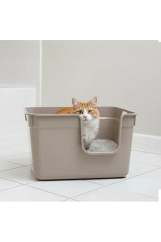54x40x32 Cm Boyutunda Bej Renk Yarı Açık Kedi Tuvaleti Açık Ahşap