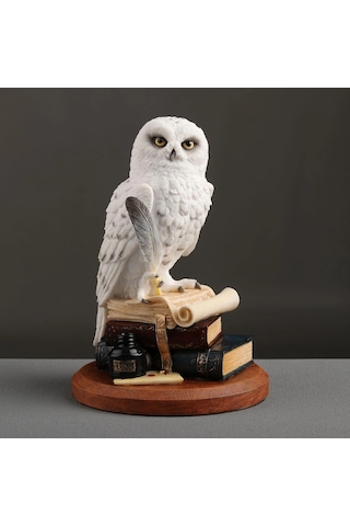 Kitap Üzerinde Beyaz Kar Baykuşu Hedwig Biblosu