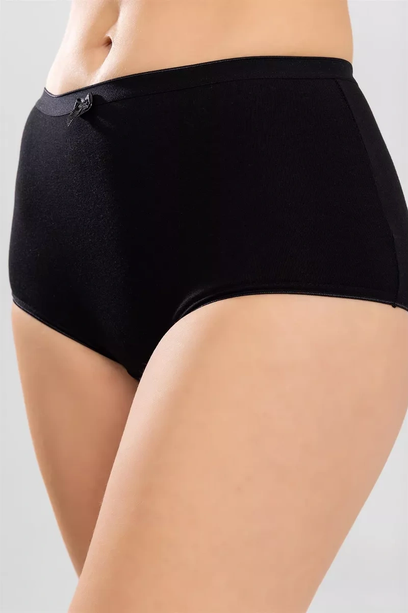 Baykar Büyük Beden Külotlar 267606243 Siyah