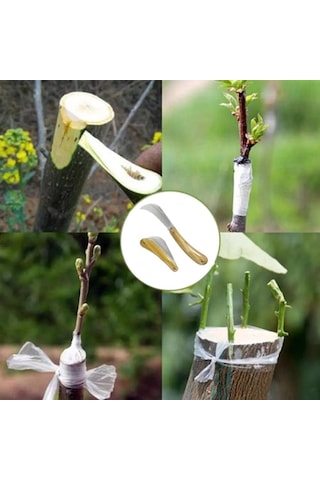 Burcu Aşı Bıçağı Aşılama Makası 19 CM + Aşı Macunu Seti Aşı Makası