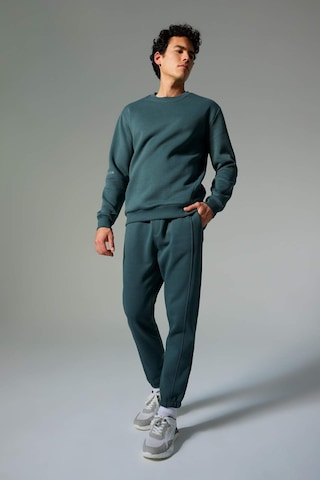 Defacto Defactofit Standart Fit Bisiklet Yaka Basic Düz Reflektör Kalın Sweatshirt Y4531az23augn1019 Yeşil