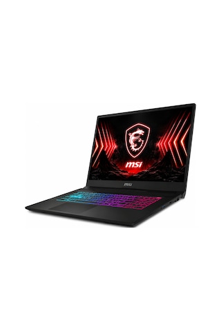 Msı Katana 17 HX B14WFK-252-X-T-R-RNP17 i7-14650HX 48 GB 512 GB SSD 8 GB RTX5060 17.3'' W11P Dizüstü Bilgisayar