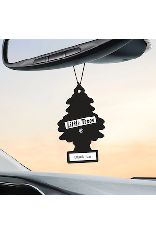 Car Freshner Asma Koku 12'li Siyah Buz