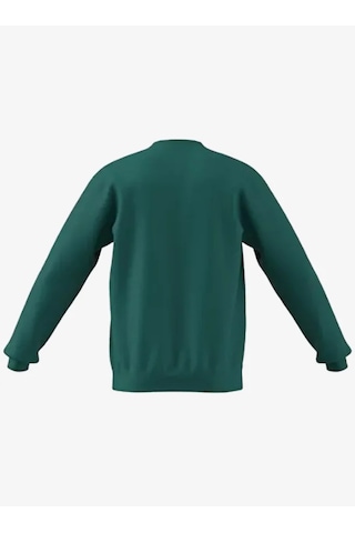 Adidas Ke2319 Terrex Snow Graphic Crew Unisex Sweatshirt Yeşil