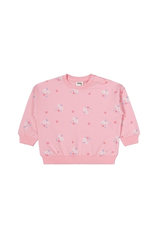 Civil Baby Tavşan Baskılı 3'lü Set 6-18 Ay Sweatshirt - Standart