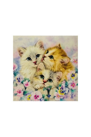 5d Elmas Boncuk Taş Işleme Mozaik Goblen Kit 30x30cm Ms26035 Diamond Painting