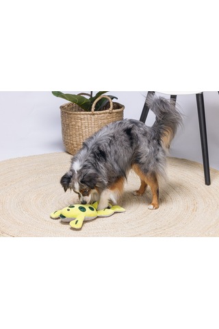 Beeztees Köpek Ödül Saklama Oyuncağı, Kurbağ, Peluş, Sarı, 31x20x7cm