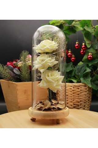 Premium Solmayan Gül Işıklı Cam Fanus Ahşap Standlı Beyaz Mega Boy