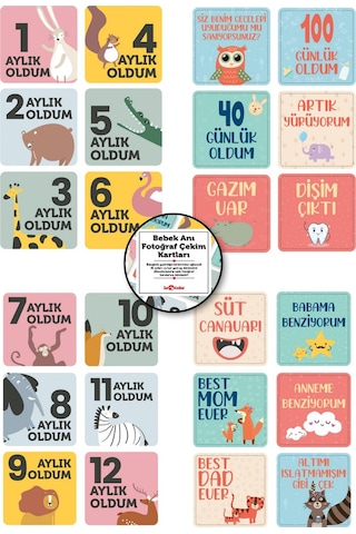 Bebek Zeka Kartları & Aylık Çekim Kartları Ve Sticker Seti