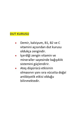 Tuğba Kuruyemiş Dut Kurusu 250 Gr