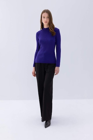 DeFacto Regular Fit Yarım Balıkçı Yaka Basic Düz Triko Kazak D9386AX24WNPR284 Mor