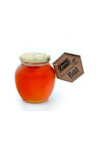 Amesia Süzme Bal 450 G