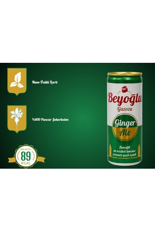 Beyoğlu Ginger Ale Zencefil Aromalı Gazlı İçecek 24 x 250 ML