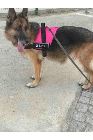 Kişiye Özel, Isimli K9 Köpek Tasması, Göğüs Tasması Pembe
