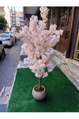 Rüzgar Yapay Çiçekçilik 150 Cm Yükseklikte Bahar Dalı Ağacı Krem
