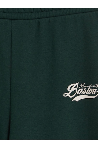 Lcw Modest Yeşil Boston Baskılı Kadın Kalın Eşofman Altı