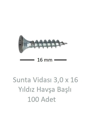Sunta Vidası, 3,0 X 16 Mm, 100 Adet, Yhb Vida 3 x 16