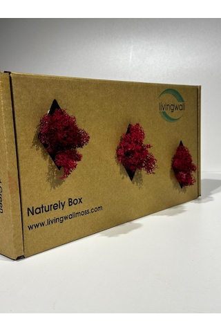 Reindermoss Şoklanmış Norveç Yosunu Terarium Yosunu Fushia 500 Gr.