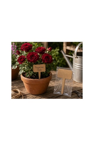Arliadesign Kişiye Özel Ahşap Bitki Etiketi 10'lu Set / Dikdörtgen Şekilli 3 Mm Ham Mdf Saksı Mini Bahçe Etiketi