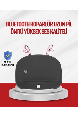 Kablosuz İndüksiyonlu Telefon Tutucu Ve Stereo Hoparlör Şık Ve