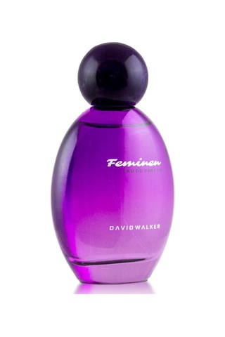 David Walker B219 Scandive Kadın Parfüm EDP 100 ML