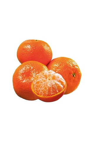 3 Yaş Aşılı Kokulu King Mandalina Fidanı. Torbada