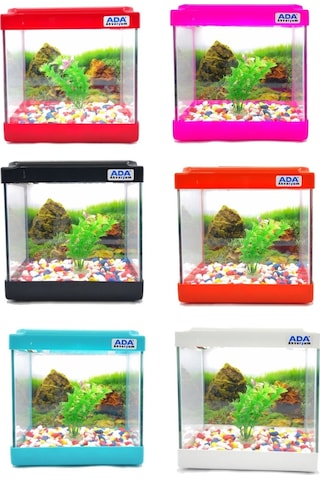 Ada Akvaryum Mini Akvaryum Seti Siyah 20 x 20 x 15 CM