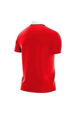 Nike M Nk Df Park20 Polo Ss Cw6933-657 Erkek Polo Yaka Tişört 001