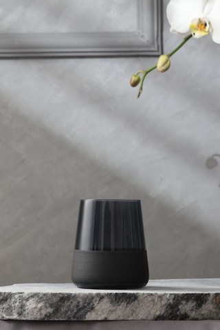 Matte 4'lü Su Bardağı Seti Siyah 420 Cc Renkli