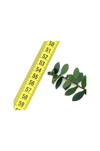 14 Metre Şerit Yapay Çiçek Doğalgaz Borusu Süsü Telli Taç Sarmaşık Minik Yaprak 1 CM