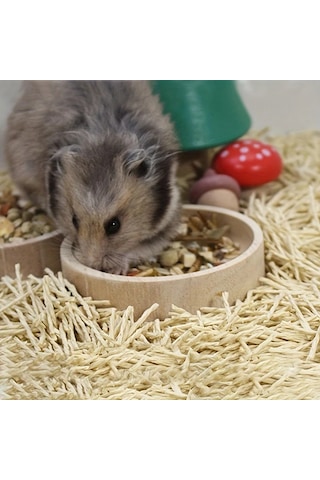 Elmpaly Ahşap Hamster Mama Kabı Su Geçirmez Seramik Besleme Kabı Sku1
